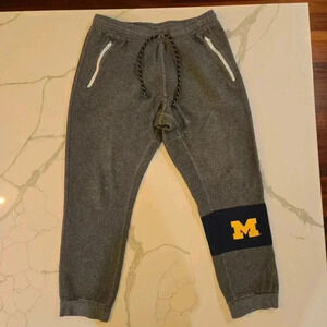 Nike Michigan Wolverines Mens Charcoal AV15 Sweatpants Joggers Size Medium